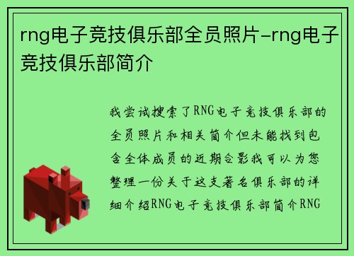 rng电子竞技俱乐部全员照片-rng电子竞技俱乐部简介